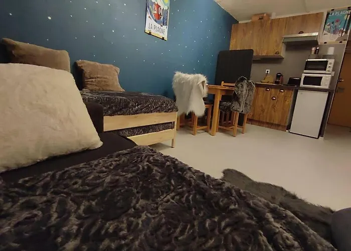 Apartmán Cosy 2100m Pied Des Pistes-direct To Slopes-ski In Out-la Plagne Aime 2000