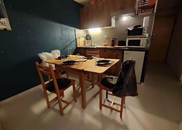 Cosy 2100m Pied Des Pistes-direct To Slopes-ski In Out-la Plagne Aime 2000 Apartmán