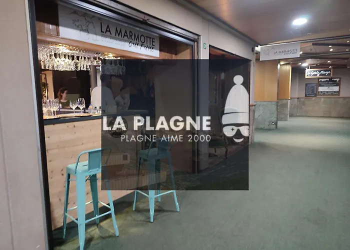 Cosy 2100m Pied Des Pistes-direct To Slopes-ski In Out-la Plagne Aime 2000 Apartmán La Plagne