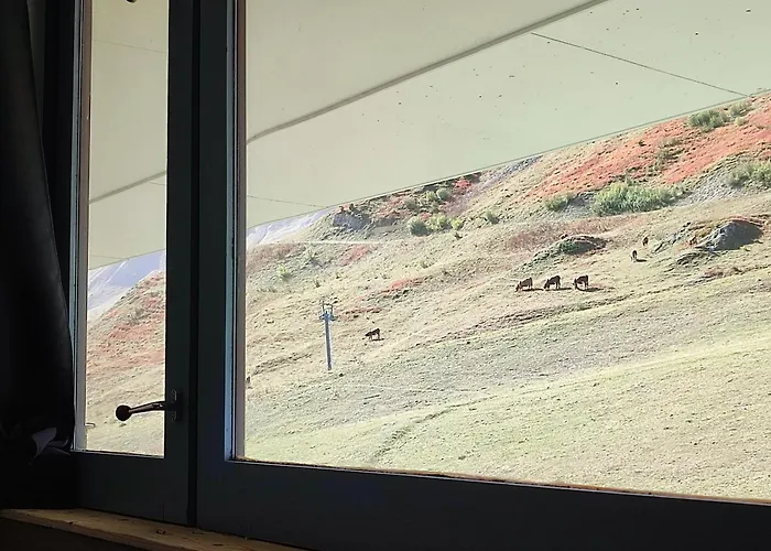 Cosy 2100m Pied Des Pistes-direct To Slopes-ski In Out-la Plagne Aime 2000 * La Plagne