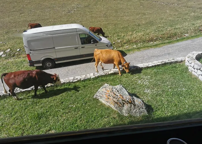 Apartmán Cosy 2100m Pied Des Pistes-direct To Slopes-ski In Out-la Plagne Aime 2000 *