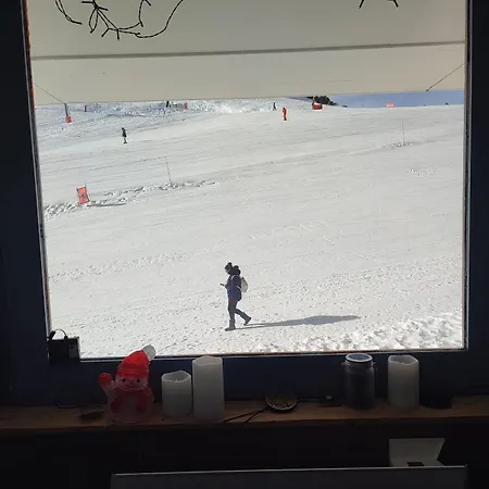 شقة Cosy 2100m Pied Des Pistes-direct To Slopes-ski In Out-la Plagne Aime 2000