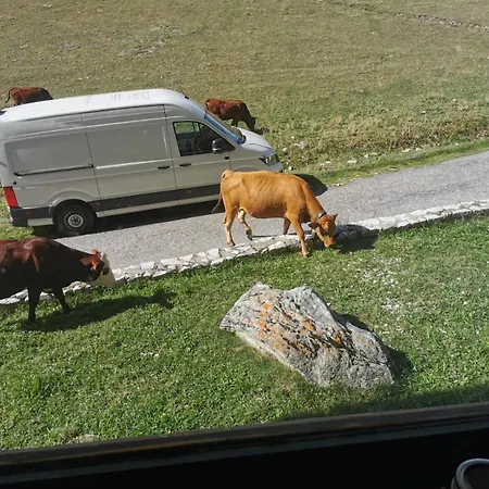 شقة Cosy 2100m Pied Des Pistes-direct To Slopes-ski In Out-la Plagne Aime 2000 *