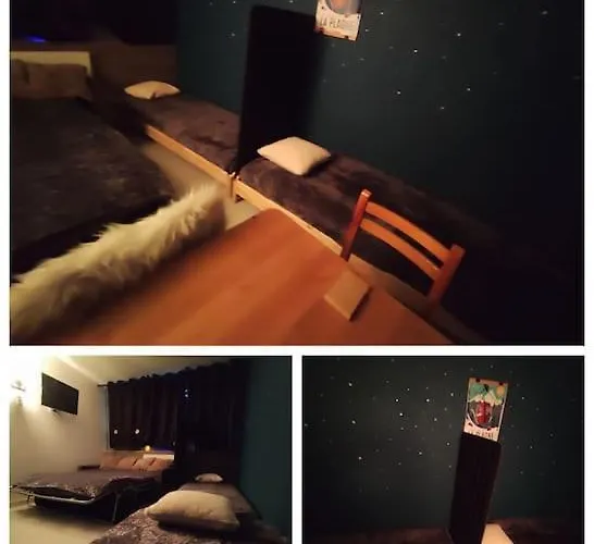 Cosy 2100m Pied Des Pistes-direct To Slopes-ski In Out-la Plagne Aime 2000